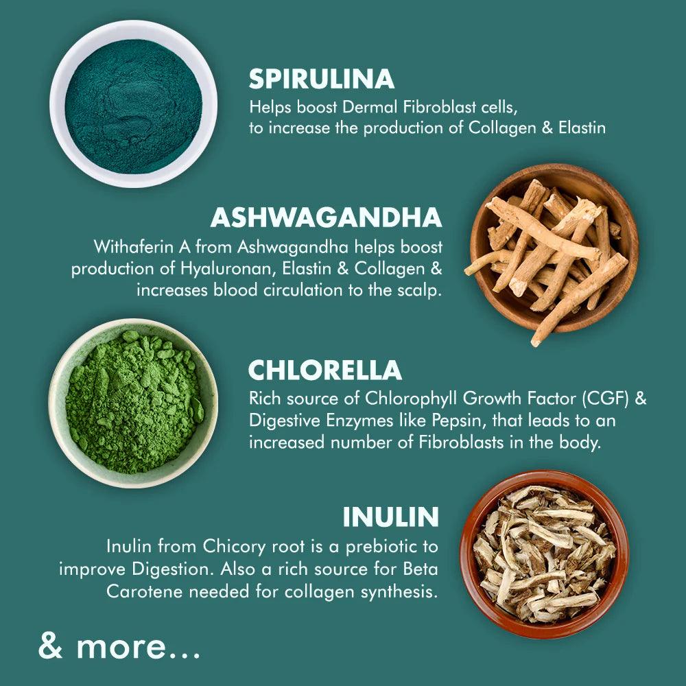 Caim by arelang Replenish with Greens Collagen Gummies for women/men