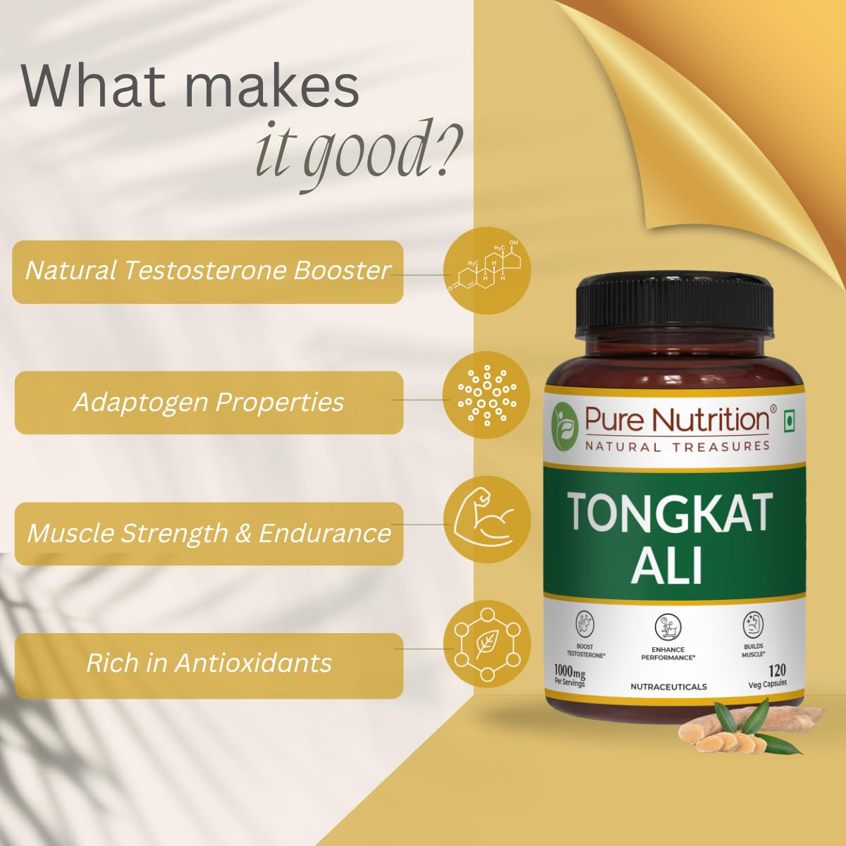 Pure Nutrition Organic Tongkat Ali Capsules - 1000mg - 120 Veg Capsules - Supports Male Wellness | Boosts Energy, Immunity & Stamina | Enhances Stress Tolerance | Natural Herbal Supplement | Gluten-Free