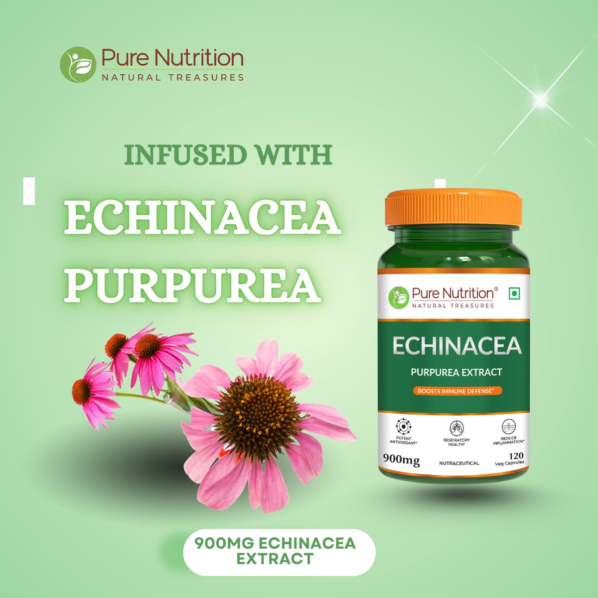 Pure Nutrition Echinacea Capsules - Powerful Antioxidant & Immune Booster | Natural Support for Immune Defense & Respiratory Health | Anti-Inflammatory Properties for Overall Wellness - 120 Veg Caps