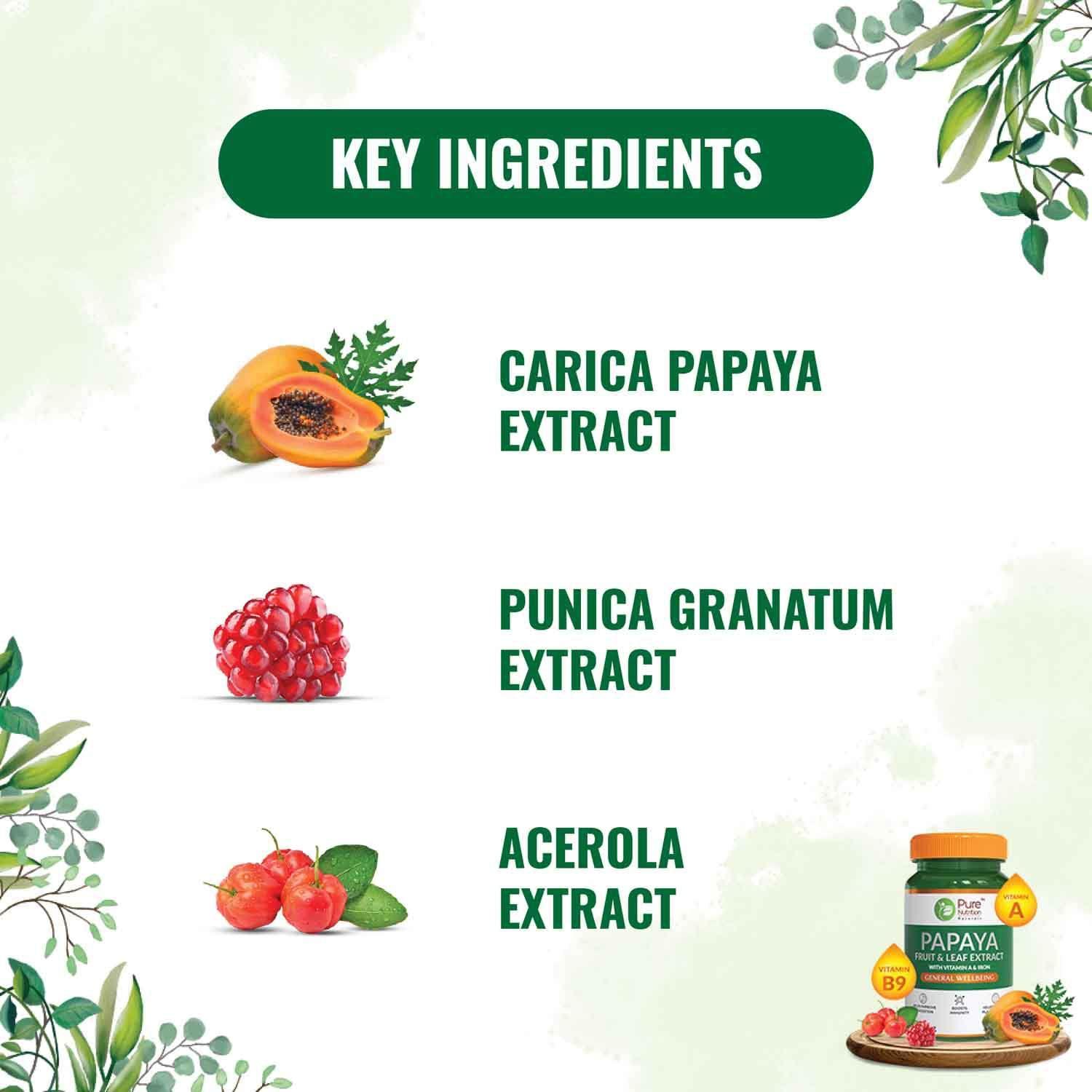 Pure Nutrition Papaya Fruit & Leaf Extract 600mg Veg Tablet