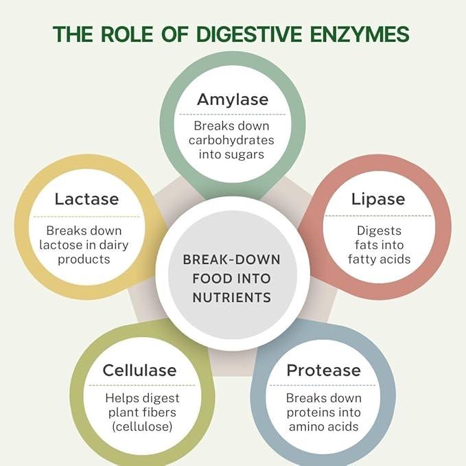 Pure Nutrition Digestive Enzymes Capsules 665mg with Bromelain - 60 Veg Capsules