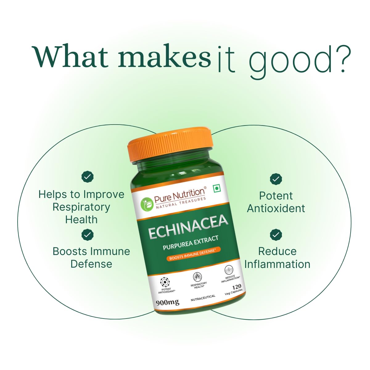 Pure Nutrition Echinacea Capsules - Powerful Antioxidant & Immune Booster | Natural Support for Immune Defense & Respiratory Health | Anti-Inflammatory Properties for Overall Wellness - 120 Veg Caps