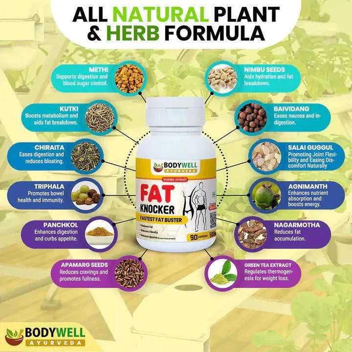 BodyWell Ayurveda Fat Knocker Veg Capsule - 90 Capsules
