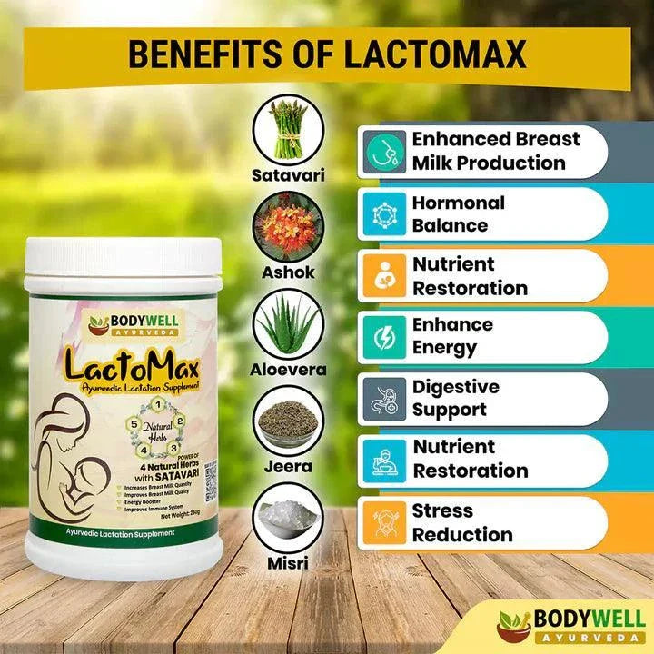 BodyWell LactoMax Ayurvedic Lactation Supplement Powder