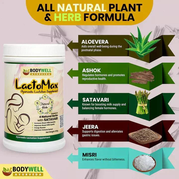 BodyWell LactoMax Ayurvedic Lactation Supplement Powder