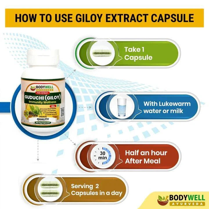 BodyWell Giloy Veg Capsule - 60 Capsules
