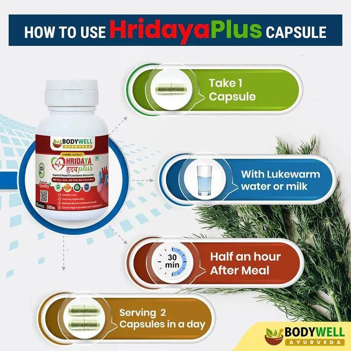 Bodywell HridayaPlus Capsule, 500mg, 60 Capsules