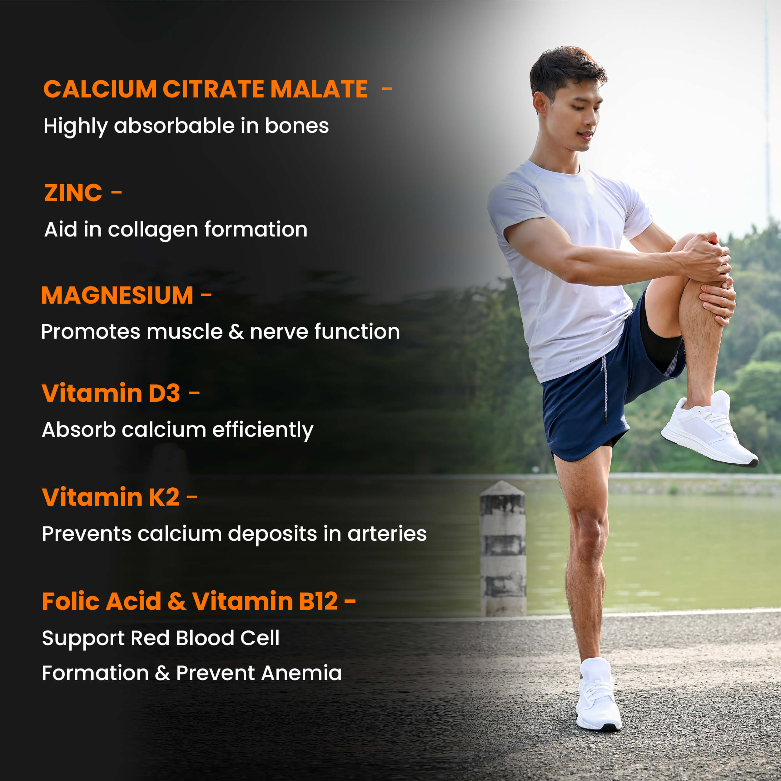 Dr Patkar’s Calcium Citrate Malate, Zinc, Magnesium, Vitamin D2 + K2 MK7 with Folic Acid & Vitamin B12 Tablets – Strong Bones, Immunity & Energy Support – Vegetarian Supplement - 60 Tablets